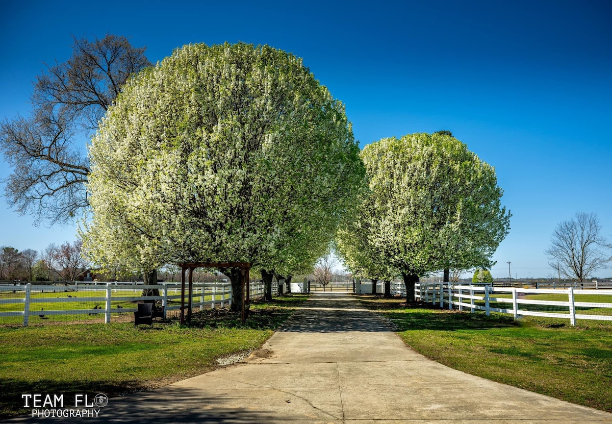 Tree-lined driveway entrance at Parkton Place